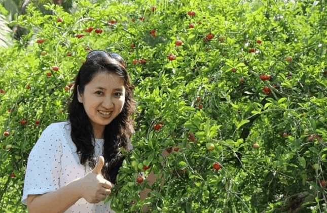 Tham quan vườn trái cây trong khuôn viên KDL Phú An Khang