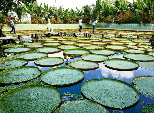 Vãn cảnh chùa Phước Kiển