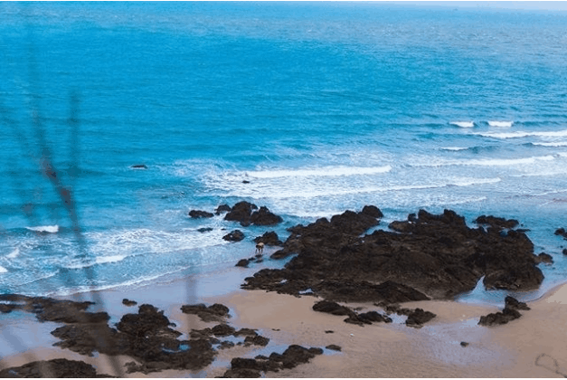 Top 7 bãi biển Vũng Tàu đẹp nhất vào mùa hè