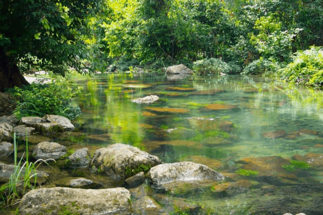Kinh nghiệm du lịch Vườn quốc gia Xuân Sơn