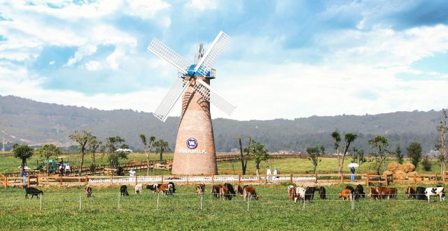 vinamilk organic milk farm (ảnh: st)