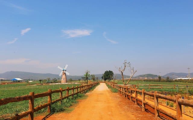 vinamilk organic milk farm (ảnh: st)