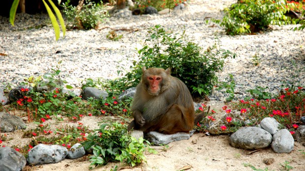 Lan Ha Bay Tourism