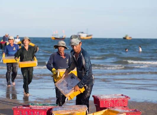 Phuoc Hai fishing village