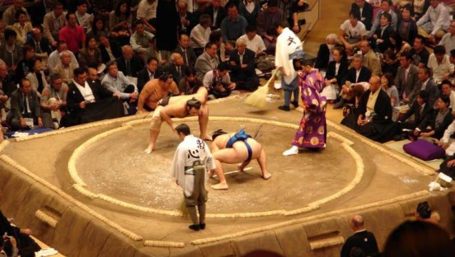 thi đấu sumo 