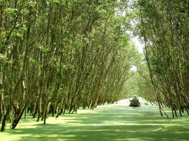 Cách Giang, một điểm du lịch nổi tiếng, được coi là lá phổi xanh 