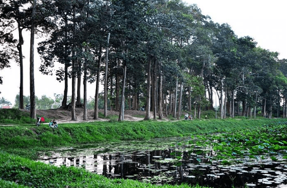 Không gian tham xanh rờn đuối xung quanh ao là vấn đề nghỉ chân hoàn hảo mang lại những chuyến dã nước ngoài cuối tuần