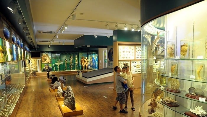 bảo tàng thiên nhiên việt nam ở Hà Nội