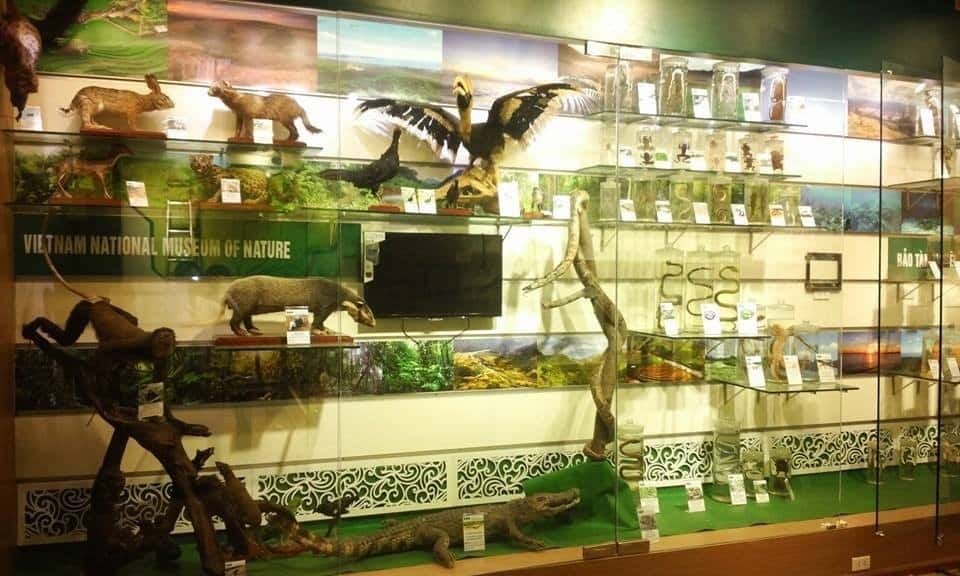 Bảo tàng thiên nhiên việt Nam