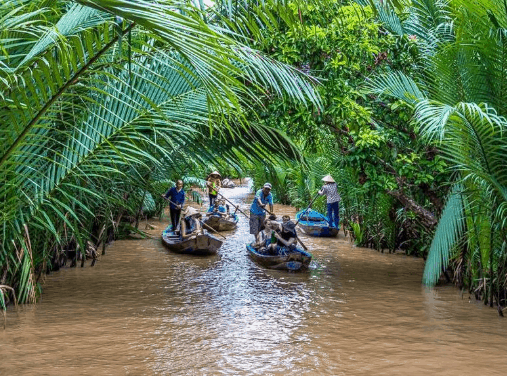 Cồn Thới Sơn - thiên đường miệt vườn chốn sông nước Tiền Giang