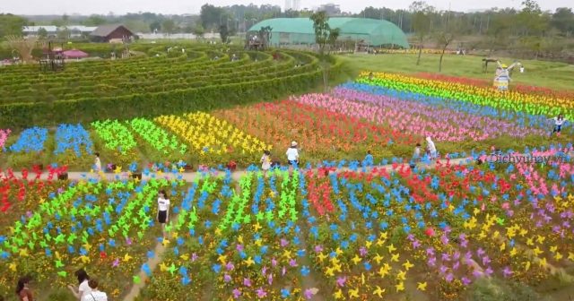 Công viên hoa hồng rose part lớn nhất ở Việt Nam (ảnh ST)