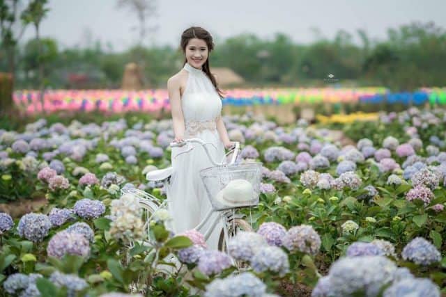 công viên hoa hồng rose part ở Long Biên (ảnh ST)