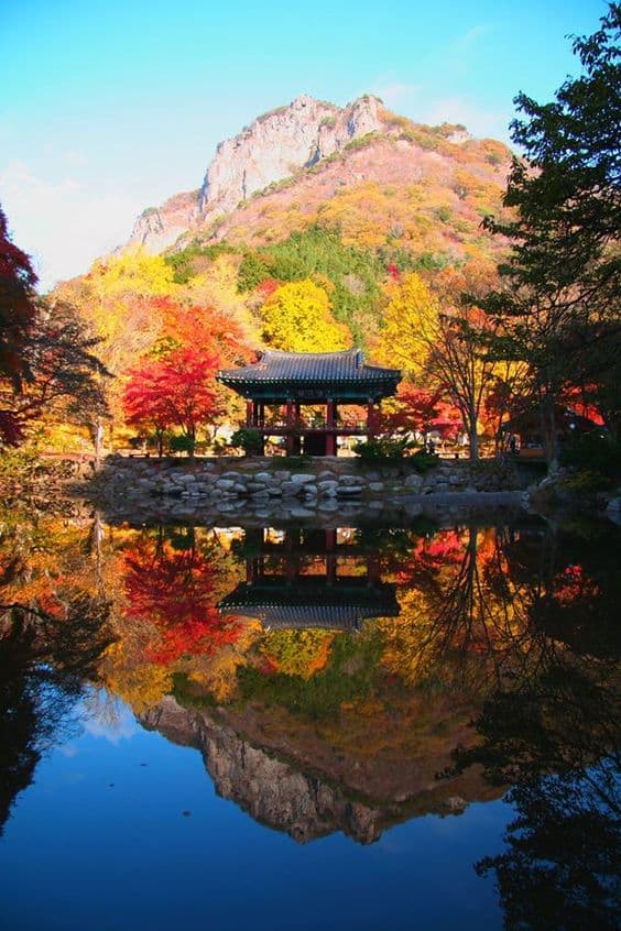 Đảo Jeju Hàn Quốc Bức tranh phong cảnh hoàn mỹ