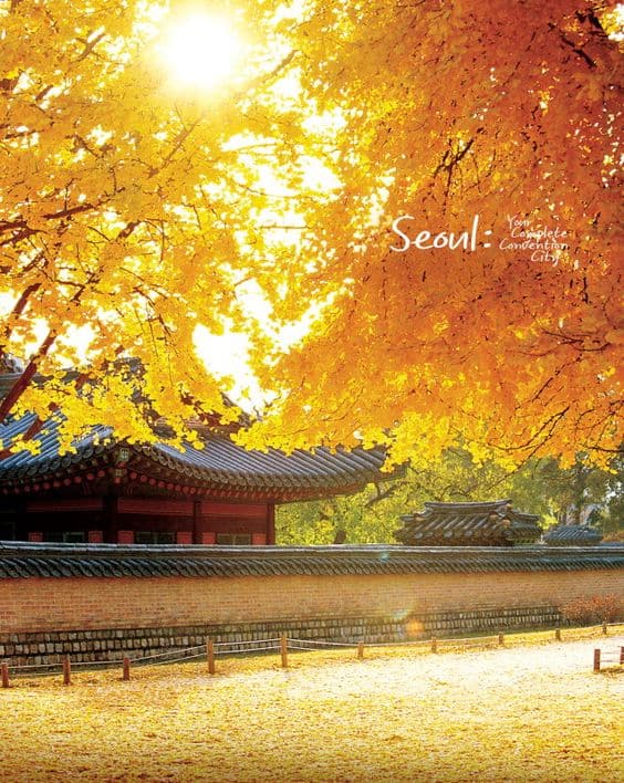 mùa thu Hàn Quốc