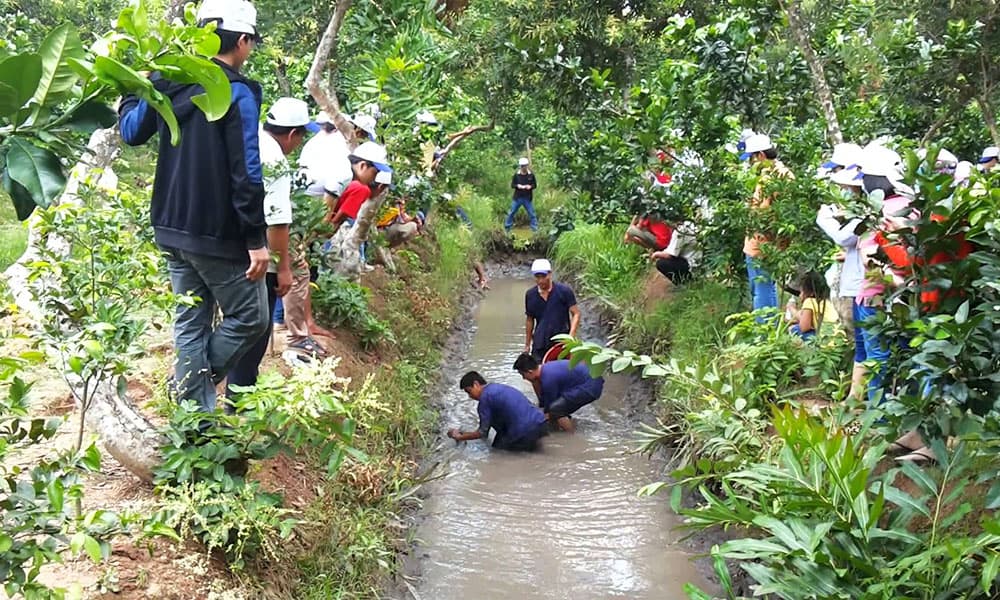 Cồn Sơn Cần Thơ 