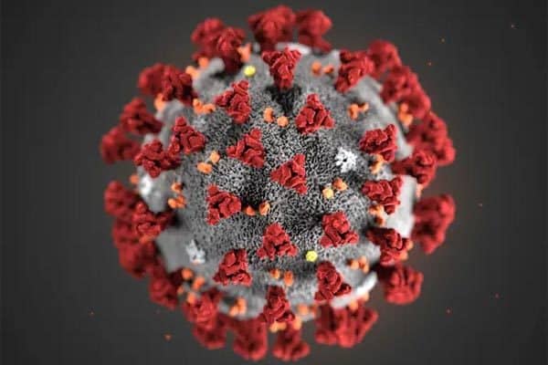 Hình ảnh virus corona chủng mới