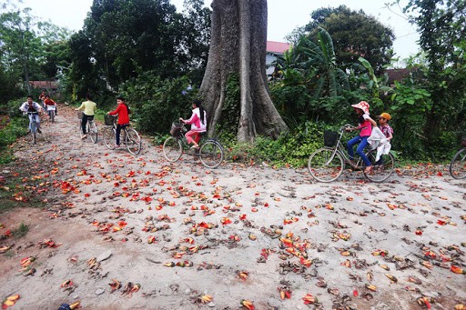 Nhấn vào ảnh để phóng to Góc cây gạo trong làng là nơi lưu giữ cả khoảng trời ký ức