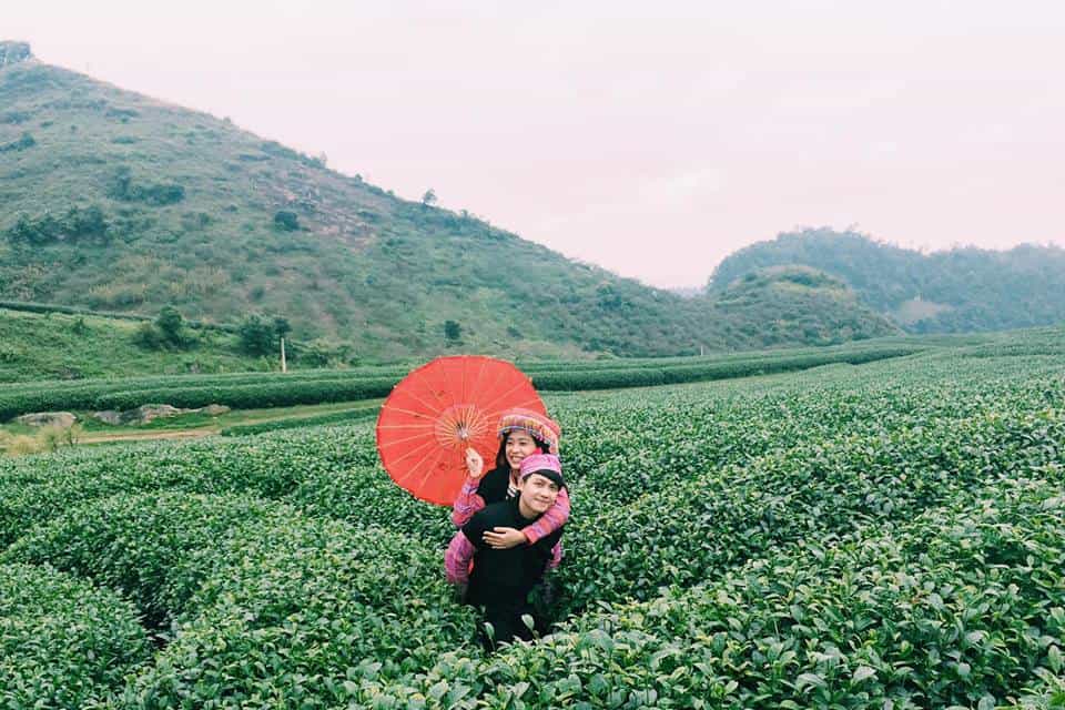 Đồi chè trái tim ở Mộc Châu - điểm đến không thể bỏ qua của các cặp đôi. Hình: Instagram @quynhhoa
