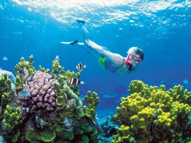 Ngắm san hô là một trải nghiệm được du khách rất yêu thích ở Phú Quốc- Nguồn ảnh: Internet