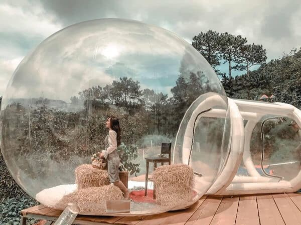 Vườn Hồng Nhà Tom với concept chill hết nấc - Nguồn ảnh: Internet