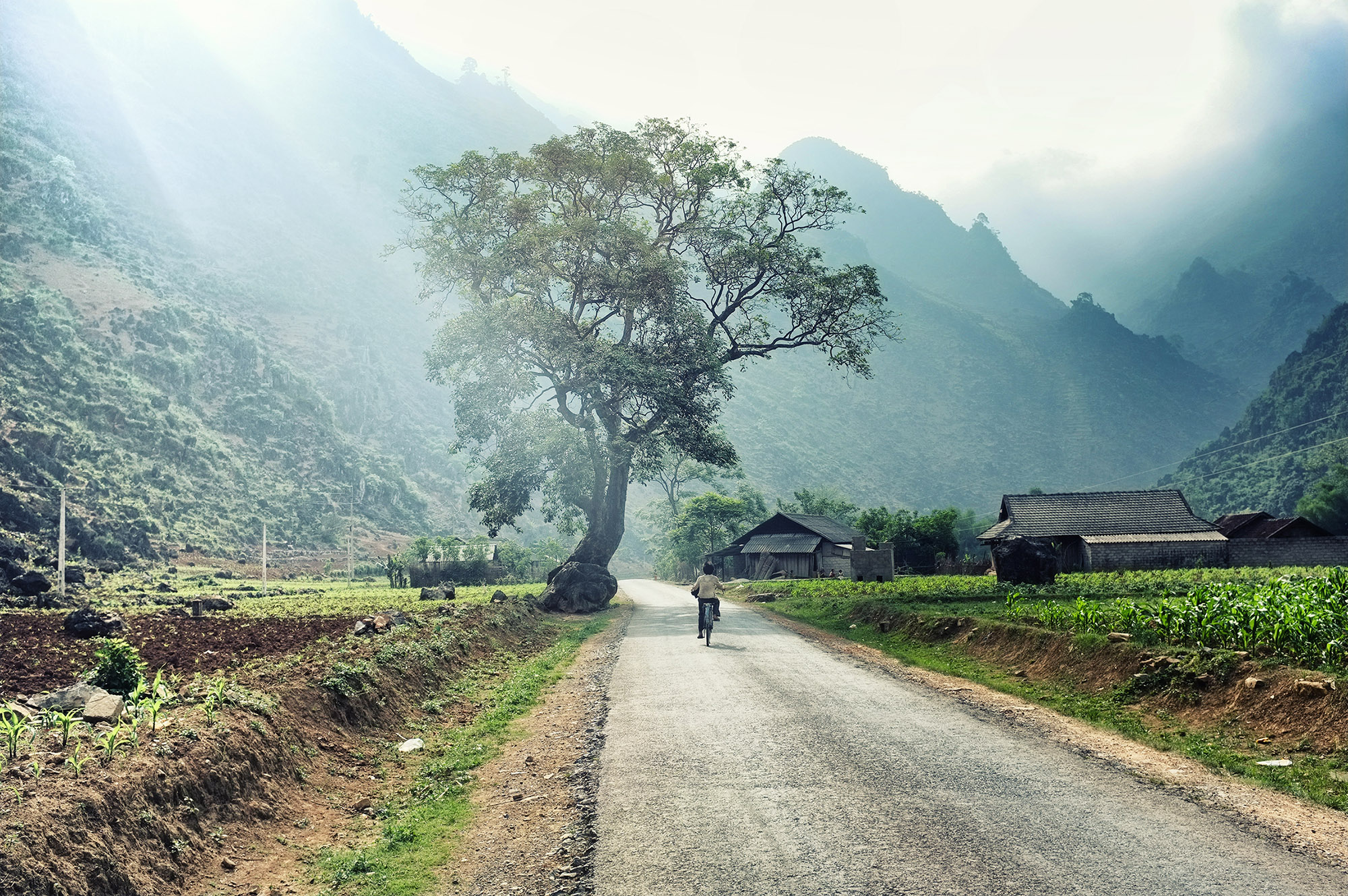 HÀ GIANG - MIỀN ĐÁ NỞ HOA - Greenland Travel