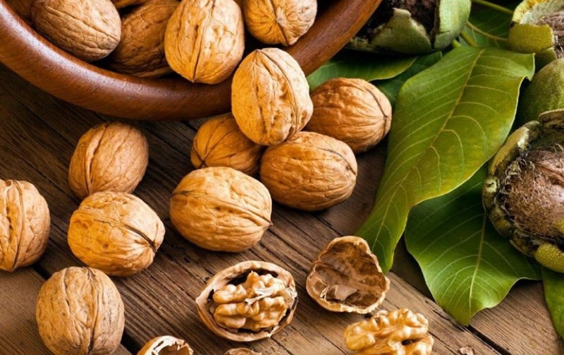 Nhấn vào ảnh để phóng to quả óc chó còn giúp trẻ phát triển cân đối, duy trì cân nặng, hạn chế nguy cơ mắc bệnh béo phì