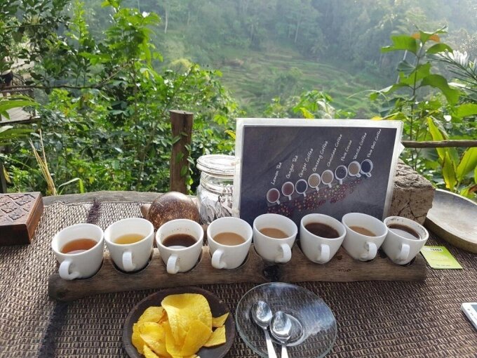 Thưởng thức các loại cà phê tại Bali, Indonesia. (Nguồn: Jojo Bali Tour).