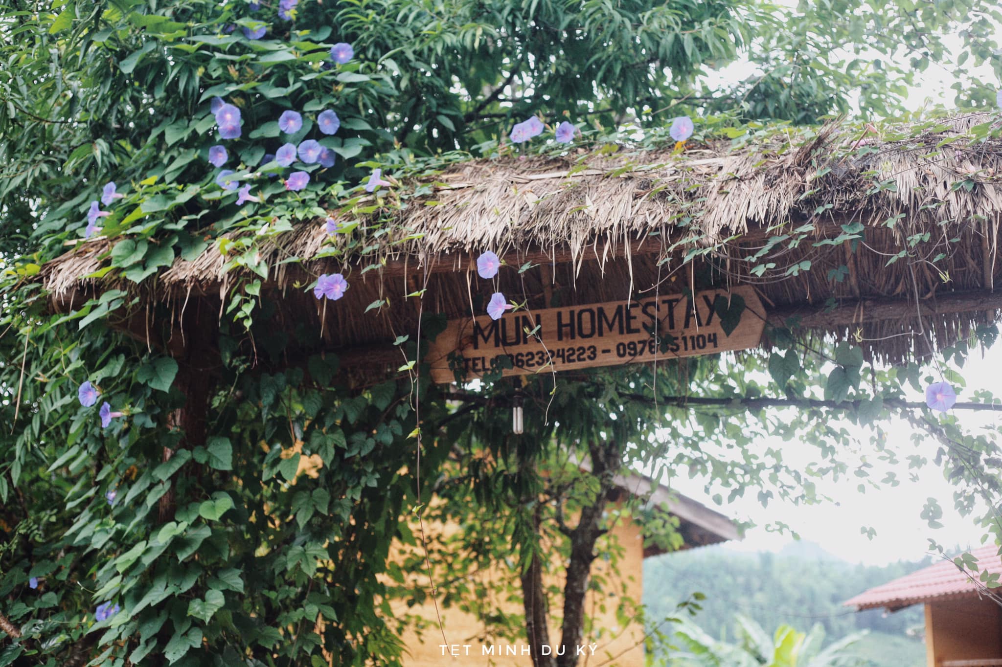 Mun Homestay entrance.  Photo: Nguyen Hoang Anh Minh