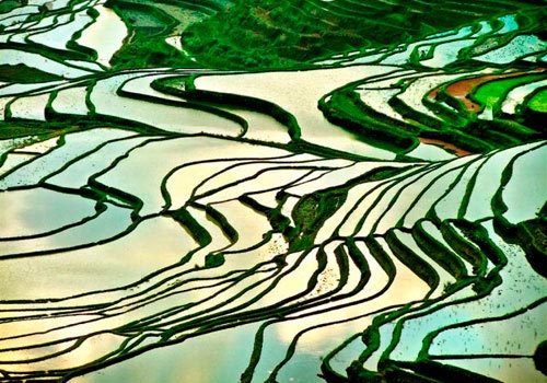 Vẻ đẹp quyến rũ của Sapa mùa nước đổ - Nguồn ảnh: Internet
