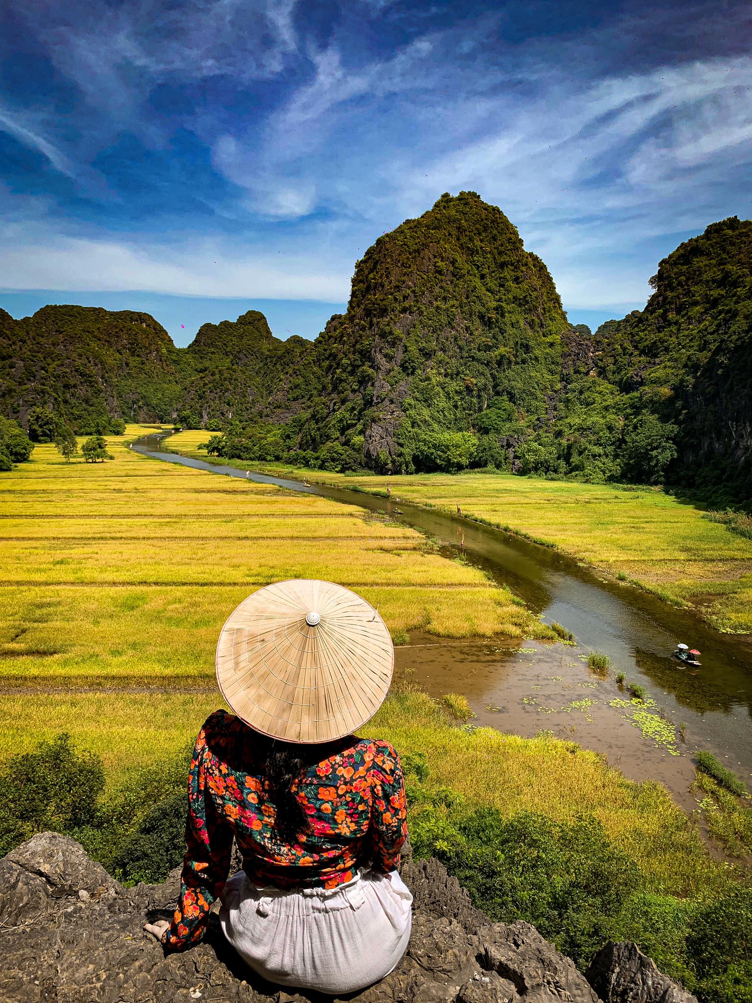 Mùa lúa vàng ươm ở Ninh Bình. Hình: Đặng Trang Linh