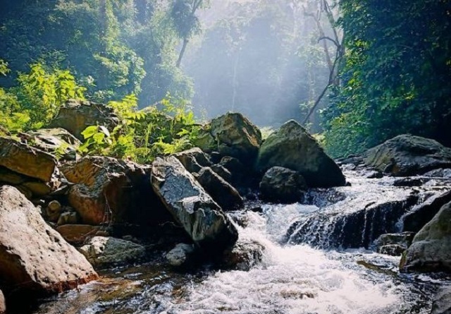Khám phá vẻ đẹp của thiên nhiên, núi rừng Xuân Sơn