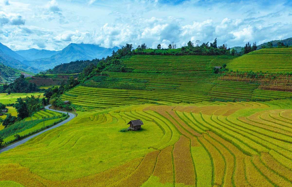 Mùa vàng tĩnh lặng ở Sa Pa