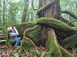 Vườn Quốc gia Bidoup – Núi Bà: Về lắng nghe hơi thở của rừng