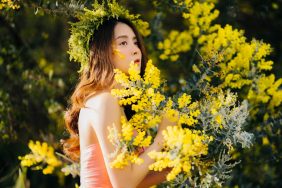 Du khách xao xuyến ngắm Mimosa vàng rực Đà Lạt