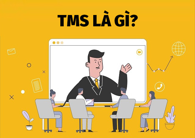 TMS thuế là gì?